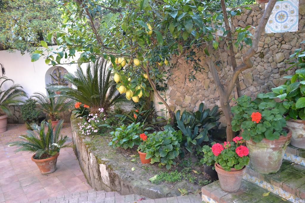 Piccolo Tirreno Hotel Residence Procida Kültér fotó