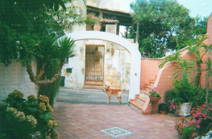 Piccolo Tirreno Hotel Residence Procida Kültér fotó