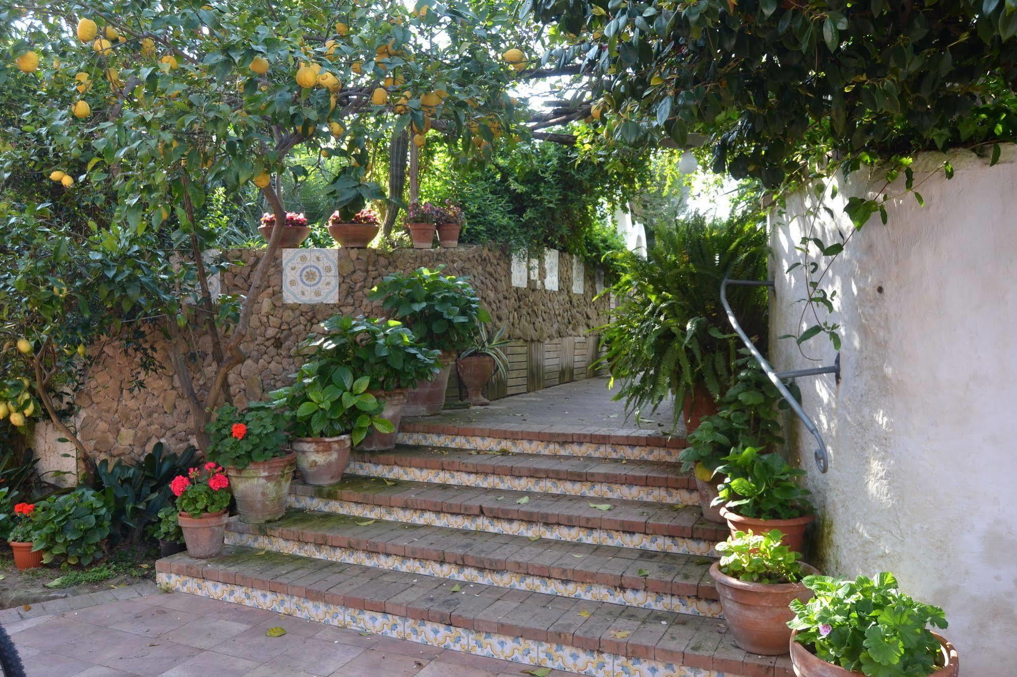 Piccolo Tirreno Hotel Residence Procida Kültér fotó